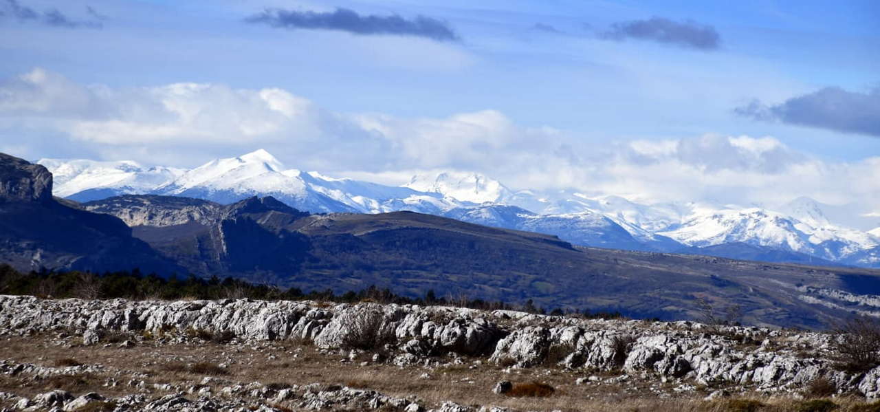 WhatsApp Image 2026-02-09 at 20.29.04 (3)